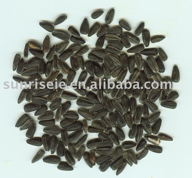 Sunflower seeds