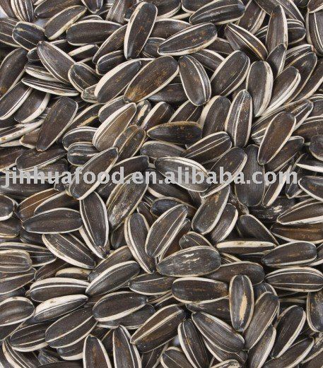 2010 crop sunflower seeds inshell & kernel
