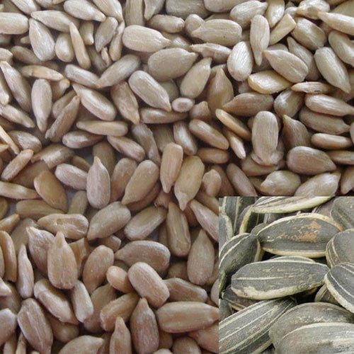 unroasted sunflower kernels