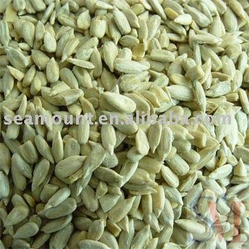 Sunflower Kernel