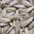 black oil sunflower seeds