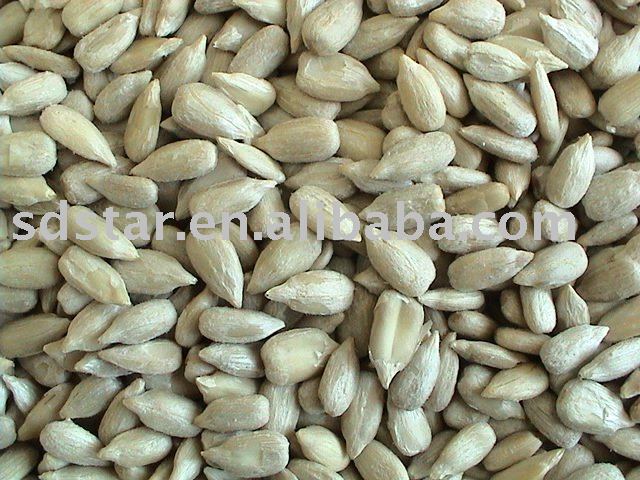 sun flower seeds