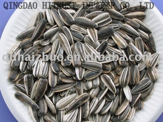 sunflower seeds&kernel