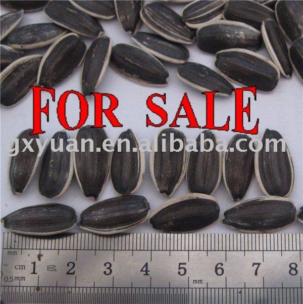 American Sunflower Seeds 5009