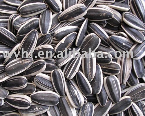 sunflower seeds