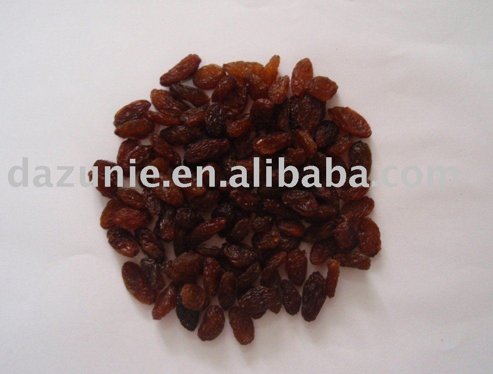 Brown Raisin