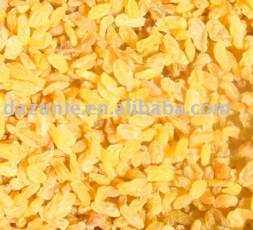 Golden Raisin
