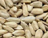 sunflower seed kernel  confectionery