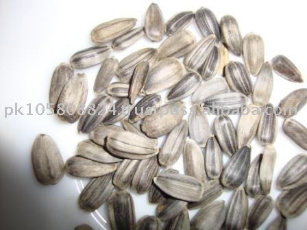 Sun Flower seeds