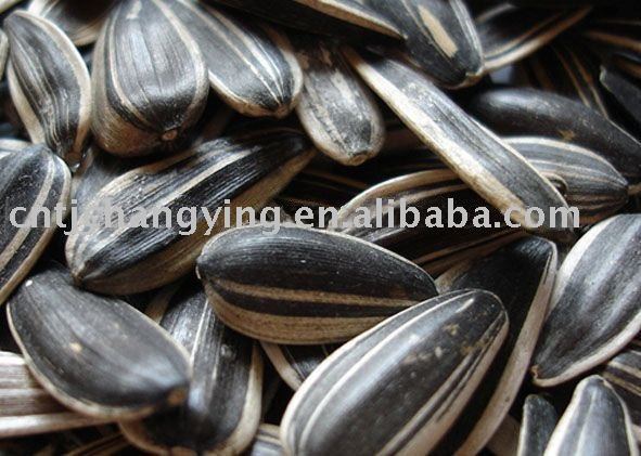 raw sunflower seeds
