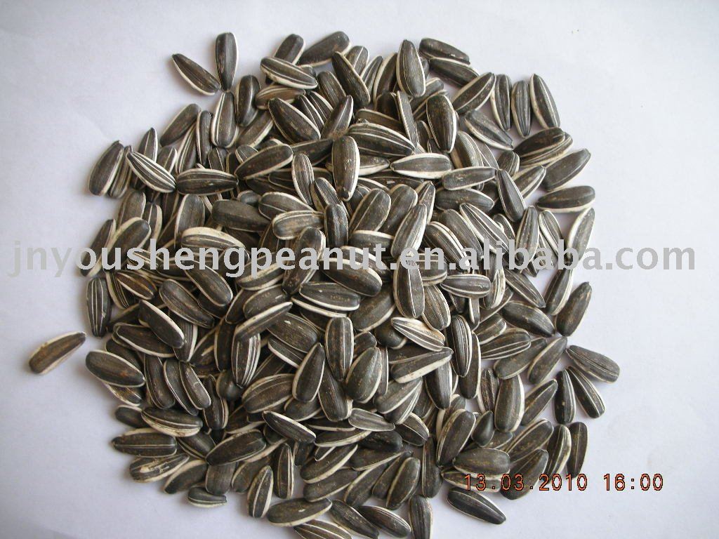 supply Sunflower Seeds