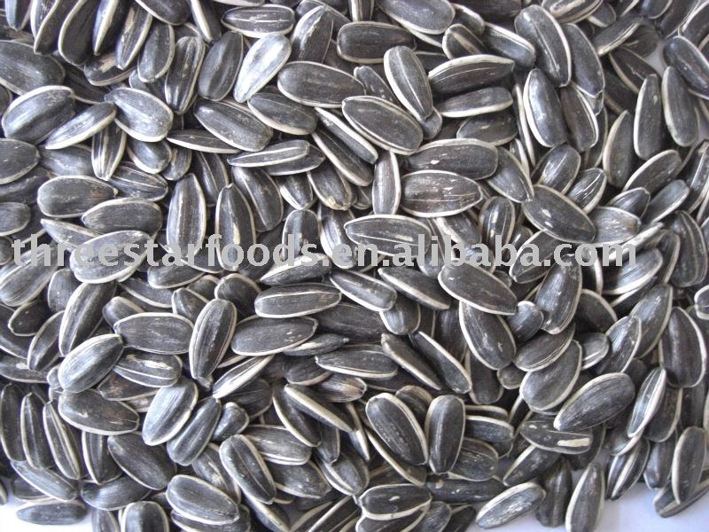 Sunflower Seeds 22/64