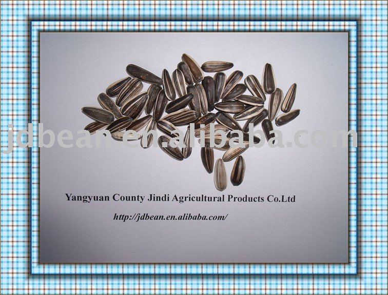 Sunflower seeds (bird food GF3)