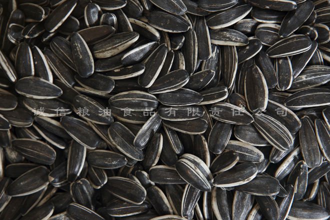 sunflower seeds 5009