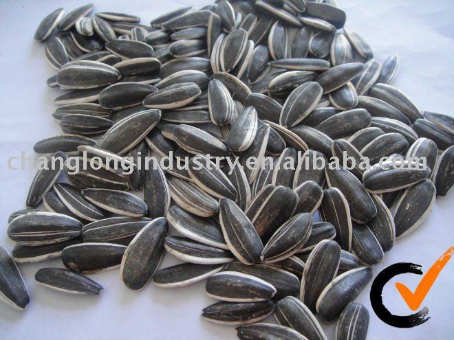 Quality Sunflower seeds