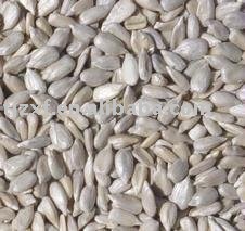 Sunflower seeds kernels