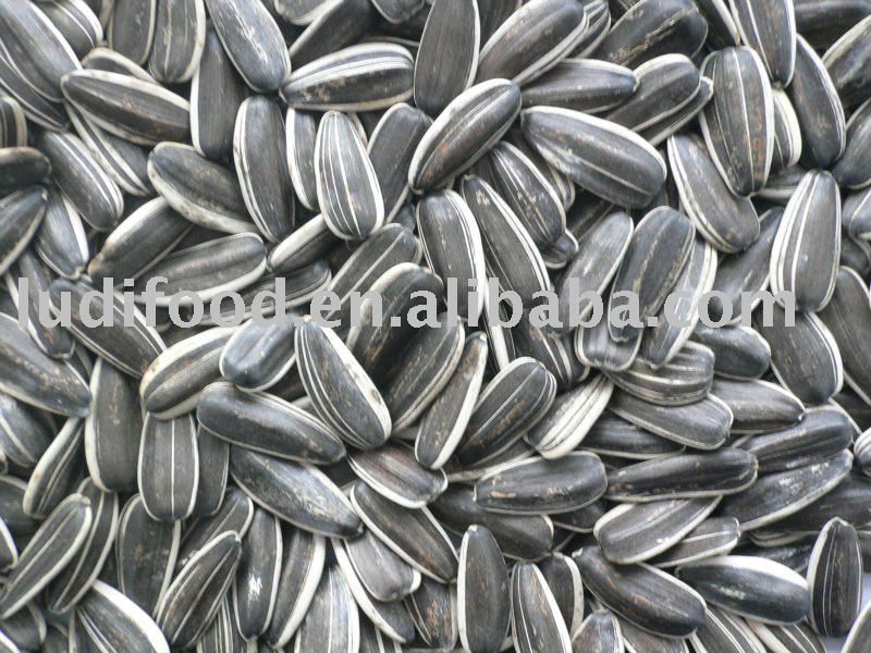 Chinese sunflower seeds