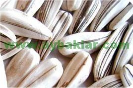 7,5mm white sunflower seeds
