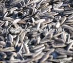 sunflower seeds 5009