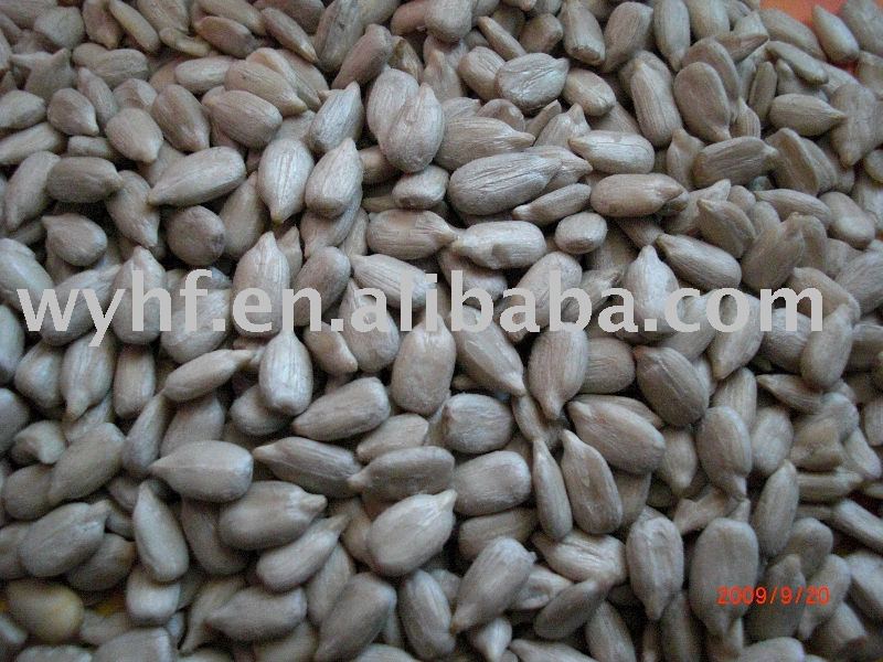 sunflower seeds kernel