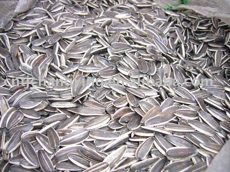 sunflower seeds
