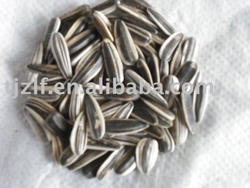 sunflower seeds