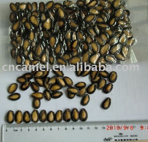 black watermelon seeds