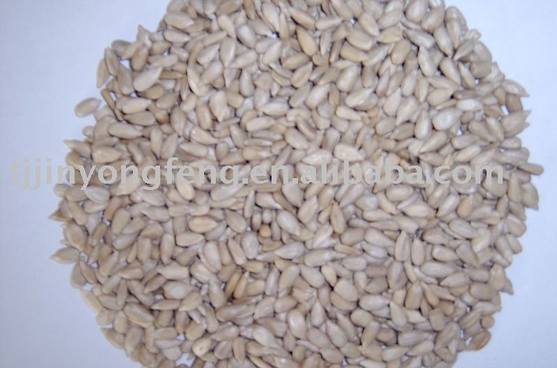 Sunflower seed kernels, bird feed