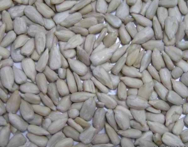 Sunflower kernel and other seeds for sale