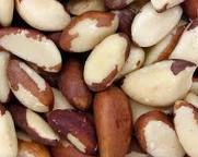 Raw Rosted and Dried Brazil Nuts For Sale