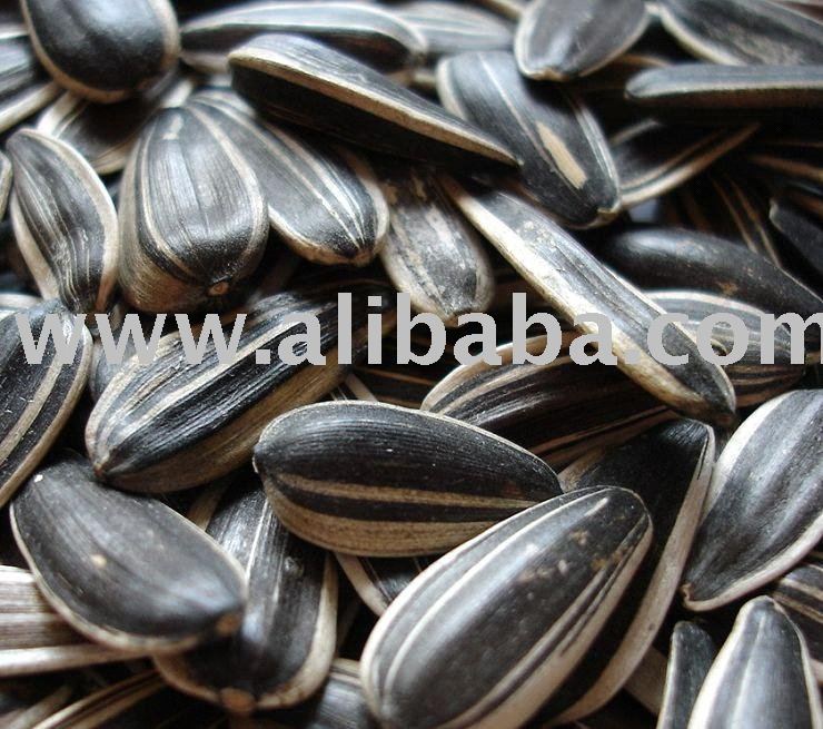 Sunflower kernel and other seeds for sale