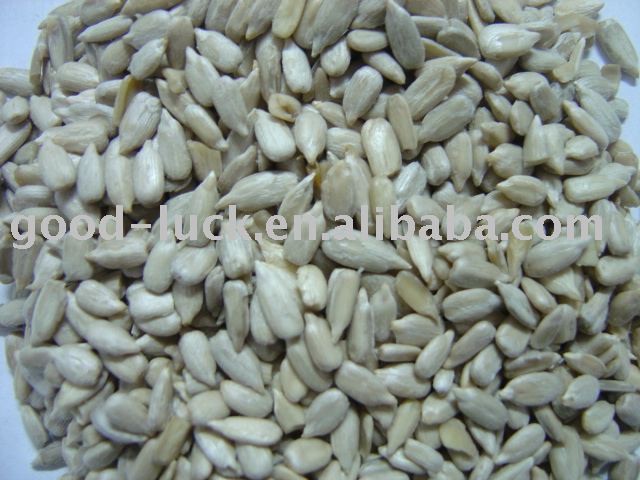 sunflower seed kernel