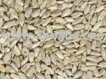 Premium Sunflower Kernel