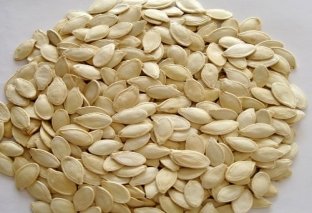 Pumpkin Seeds Kernels