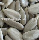 Sunflower Kernel