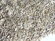 Preserved Sunflower Nuts & Kernels