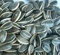 High Oil Producing Sunflower Kernel for Sale