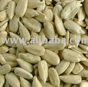 Sunflower Seed