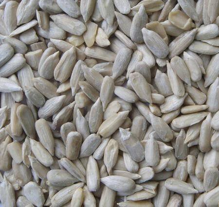 Sunflower Kernel