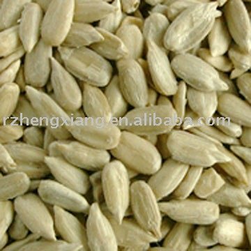 sunflower seeds kernels