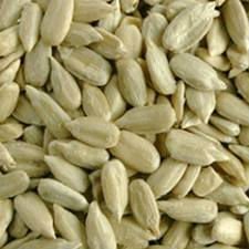 Sunflower Kernel