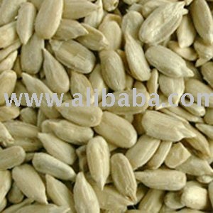 SUNFLOWER KERNSL