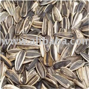 sunflower seed