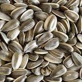 Sunflower seeds Available