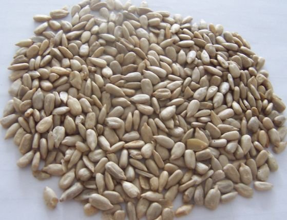SUNFLOWER KERNEL