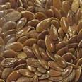 linseed