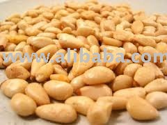 melon seeds pecan nut pine nut walnuts pistachio nuts pumpkin kennel sunflower kennel