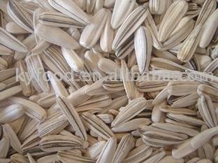 Sunflower Seed
