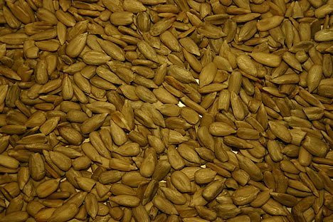 We have 100 % Israeli Sunflower Seeds,Honey Roasted Sunflower Seeds,Dark Chocolate Sunflower Seeds e