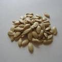 cucumba seeds, kiwi seeds, cassava seeds.